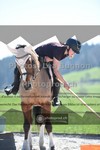 ref. photo 3557541