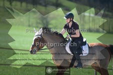 ref. photo 3557547