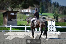ref. photo 3557573