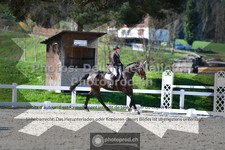 ref. photo 3557584