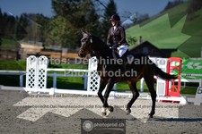 ref. photo 3557588