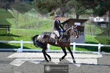 ref. photo 3557590