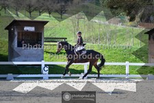 ref. photo 3557596