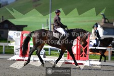 ref. photo 3557598