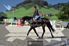 ref. photo 3557601
