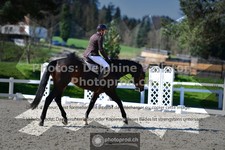 ref. photo 3557602