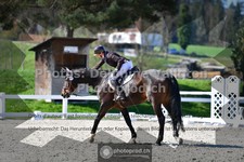 ref. photo 3557608