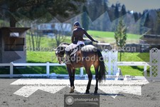 ref. photo 3557614