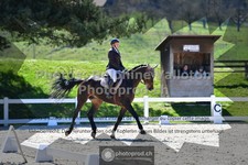 ref. photo 3557615