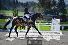 ref. photo 3557617