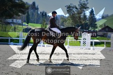 ref. photo 3557623