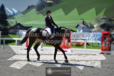 ref. photo 3557624