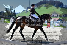 ref. photo 3557627