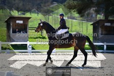 ref. photo 3557631