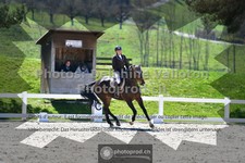 ref. photo 3557632
