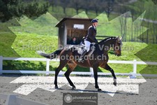ref. photo 3557641