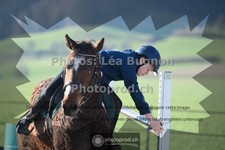 ref. photo 3557661