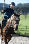 ref. photo 3557671