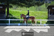 ref. photo 3557688