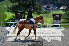 ref. photo 3557696