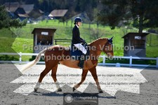 ref. photo 3557697
