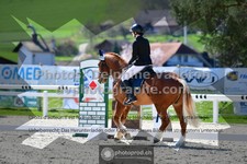 ref. photo 3557703