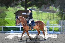 ref. photo 3557705