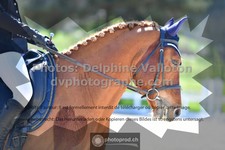 ref. photo 3557711