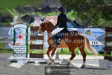 ref. photo 3557712