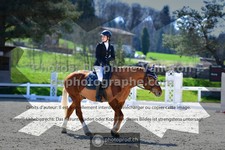 ref. photo 3557730