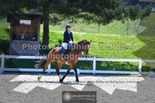 ref. photo 3557739
