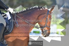 ref. photo 3557756