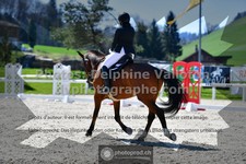 ref. photo 3557766