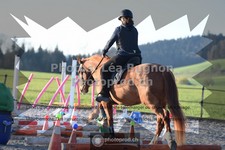 ref. photo 3557820