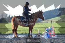 ref. photo 3557823
