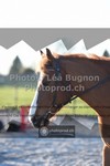 ref. photo 3557825