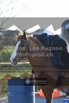 ref. photo 3557826