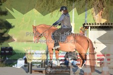 ref. photo 3557829