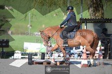 ref. photo 3557848