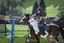 ref. photo 3557865