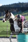 ref. photo 3557870