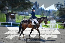 ref. photo 3557901