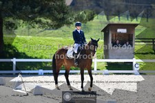 ref. photo 3557904