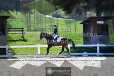 ref. photo 3557912