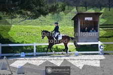 ref. photo 3557913