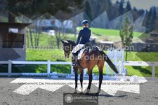ref. photo 3557923