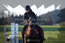 ref. photo 3557931