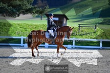 ref. photo 3557960