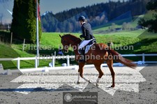 ref. photo 3557971