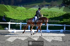 ref. photo 3557976